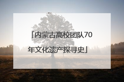 内蒙古高校团队70年文化遗产探寻史