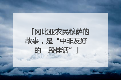 冈比亚农民穆萨的故事，是“中非友好的一段佳话”