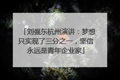 刘强东杭州演讲：梦想只实现了三分之一，坚信永远是青年企业家