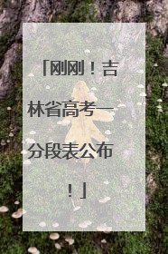 刚刚！吉林省高考一分段表公布！