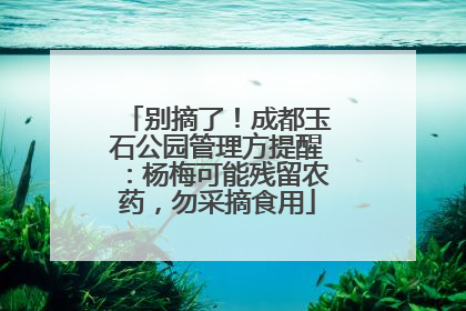 别摘了！成都玉石公园管理方提醒：杨梅可能残留农药，勿采摘食用