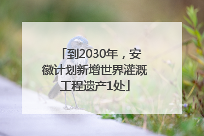 到2030年，安徽计划新增世界灌溉工程遗产1处