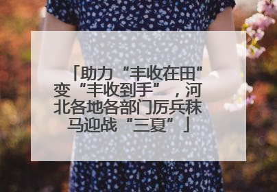 助力“丰收在田”变“丰收到手”，河北各地各部门厉兵秣马迎战“三夏”