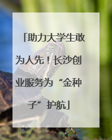 助力大学生敢为人先！长沙创业服务为“金种子”护航