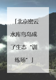 北京密云水库鸟岛成了生态“训练场”
