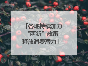 各地持续加力“两新”政策 释放消费潜力