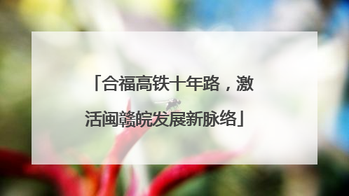 合福高铁十年路，激活闽赣皖发展新脉络