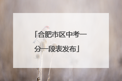 合肥市区中考一分一段表发布