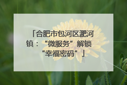 合肥市包河区淝河镇：“微服务”解锁“幸福密码”