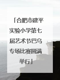 合肥市建平实验小学第七届艺术节巴乌专场比赛圆满举行