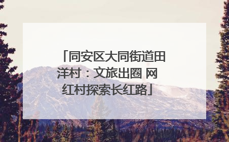 同安区大同街道田洋村：文旅出圈 网红村探索长红路