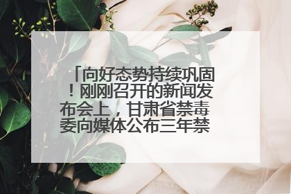 向好态势持续巩固！刚刚召开的新闻发布会上，甘肃省禁毒委向媒体公布三年禁毒工作“成绩单”