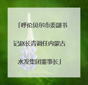 呼伦贝尔市委副书记赵长青调任内蒙古水发集团董事长
