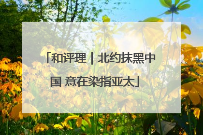 和评理｜北约抹黑中国 意在染指亚太