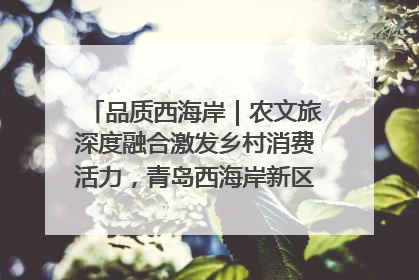 品质西海岸｜农文旅深度融合激发乡村消费活力，青岛西海岸新区的乡村振兴实践