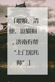 喂粮、清便、逗猫狗，济南有帮“上门宠托师”