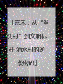 嘉禾：从“拳头村”到文明标杆 清水村的逆袭密码