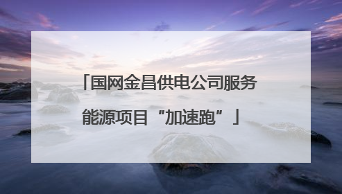 国网金昌供电公司服务能源项目“加速跑”