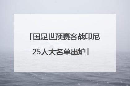 国足世预赛客战印尼25人大名单出炉