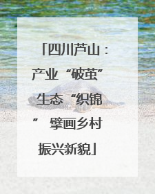 四川芦山：产业“破茧” 生态“织锦” 擘画乡村振兴新貌