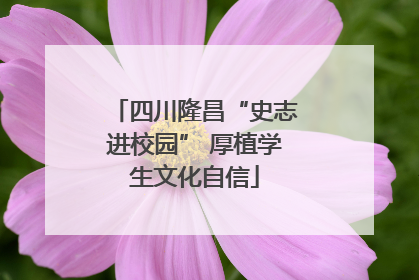四川隆昌“史志进校园” 厚植学生文化自信