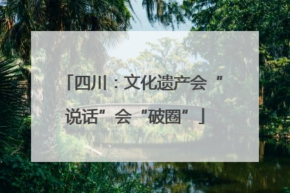 四川：文化遗产会“说话”会“破圈”
