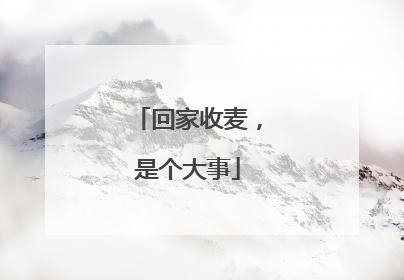 回家收麦，是个大事