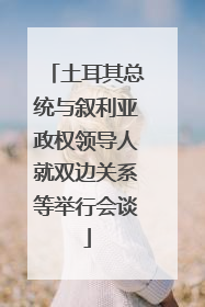 土耳其总统与叙利亚政权领导人就双边关系等举行会谈