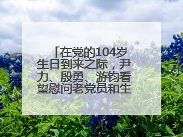 在党的104岁生日到来之际，尹力、殷勇、游钧看望慰问老党员和生活困难党员