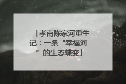 孝南陈家河重生记：一条“幸福河”的生态蝶变
