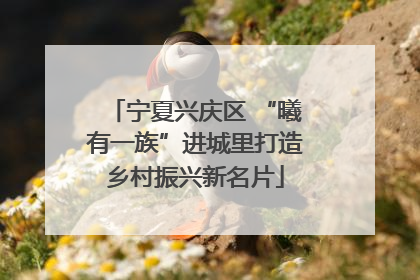 宁夏兴庆区 “曦有一族”进城里打造乡村振兴新名片