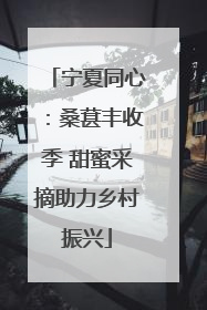 宁夏同心：桑葚丰收季 甜蜜采摘助力乡村振兴