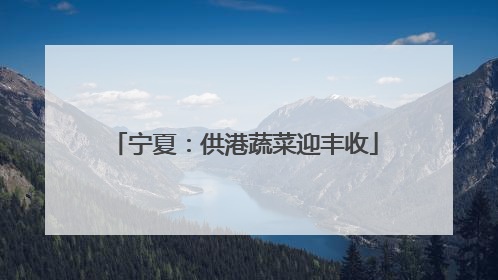 宁夏：供港蔬菜迎丰收