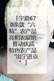 宁夏670余款“六特”农产品亮相农展馆 推动优质特色农产品“出宁进京”
