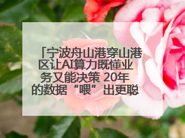 宁波舟山港穿山港区让AI算力既懂业务又能决策 20年的数据“喂”出更聪明的港口
