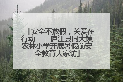 安全不放假，关爱在行动——庐江县同大镇农林小学开展暑假前安全教育大家访