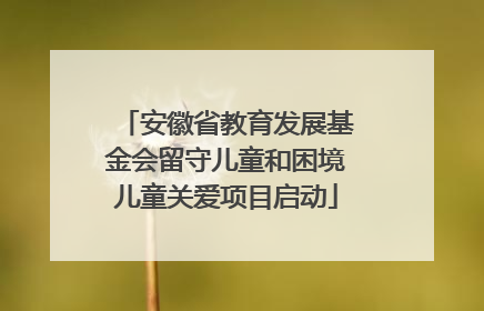 安徽省教育发展基金会留守儿童和困境儿童关爱项目启动