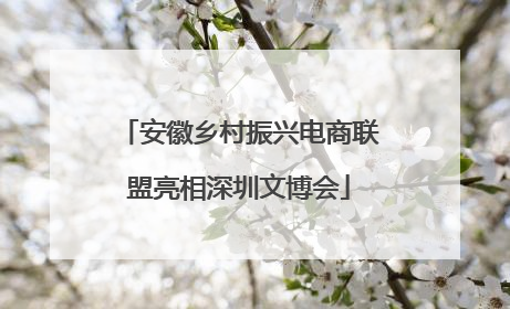 安徽乡村振兴电商联盟亮相深圳文博会