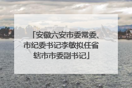 安徽六安市委常委、市纪委书记李敏拟任省辖市市委副书记