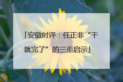 安徽时评：任正非“干就完了”的三重启示
