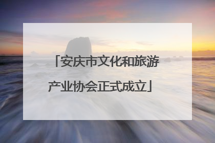 安庆市文化和旅游产业协会正式成立