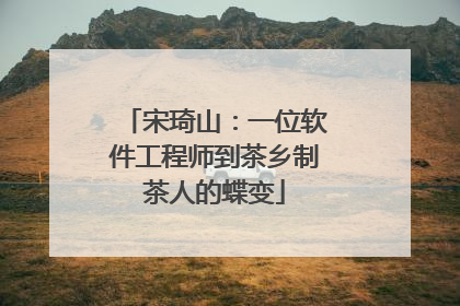 宋琦山：一位软件工程师到茶乡制茶人的蝶变