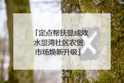 定点帮扶显成效 水景湾社区农贸市场焕新升级