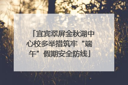 宜宾翠屏金秋湖中心校多举措筑牢“端午”假期安全防线