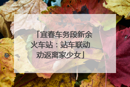 宜春车务段新余火车站：站车联动劝返离家少女