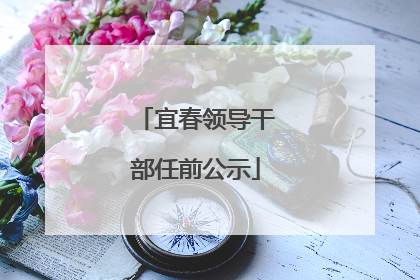宜春领导干部任前公示