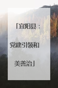 宜阳县：党建引领和美善治