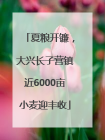 夏粮开镰，大兴长子营镇近6000亩小麦迎丰收