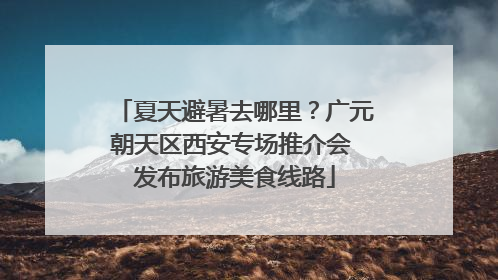 夏天避暑去哪里？广元朝天区西安专场推介会 发布旅游美食线路