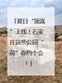 夏日“顶流”上线！石家庄这些公园“荷”你约个会！
